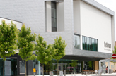 英国赫特福德大学